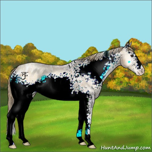 Horse Color:Watercolor White Spotted Liver Red Onyx Ice Roan Pearl 