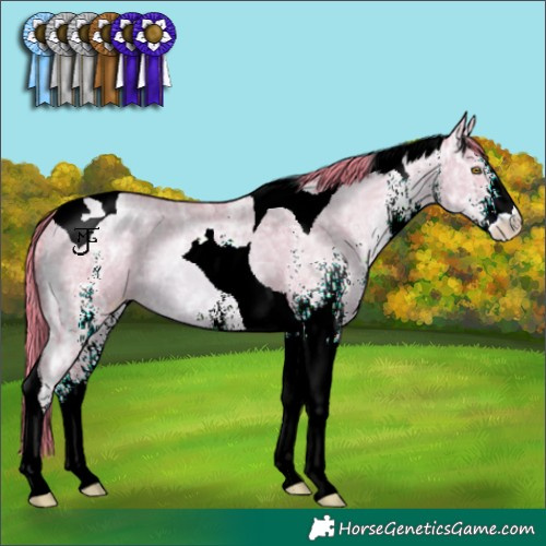 Horse Color:Watercolor White Spotted Liver Red Dun Ice Pearl Tobiano 