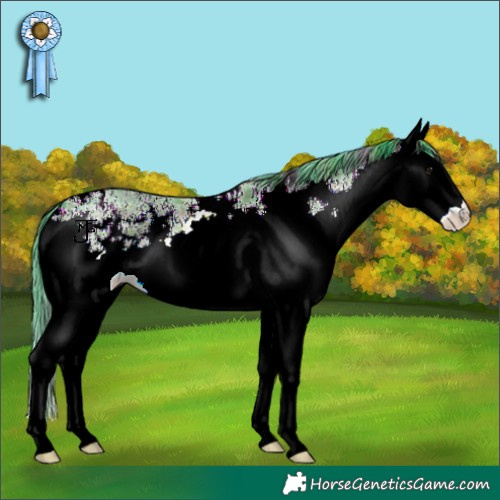 Horse Color:Watercolor Plaid  White Spotted Brown Ice 