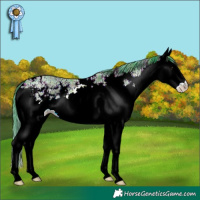 Horse Color:Watercolor Plaid White Spotted Brown Ice