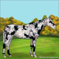 Horse Color:Watercolor Plaid White Spotted Silver Brown Ice Pearl