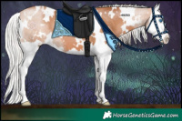 Horse Color:White Spotted Silver Brown Pearl Splash 