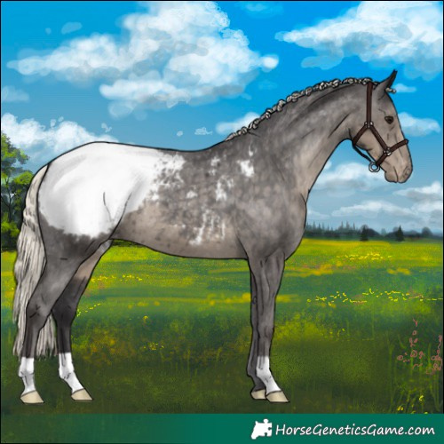 Horse Color:Silver Smoky Black Snowcap
