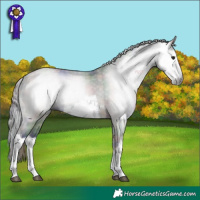 Horse Color:Gray Nacre Plaid  White Spotted Brown 
