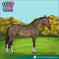 Horse Color:Brown Dun Tobiano Rabicano 