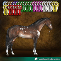 Horse Color:White Spotted Brown Tobiano Rabicano 
