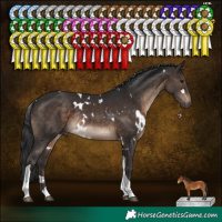 Horse Color:White Spotted Brown Tobiano Rabicano
