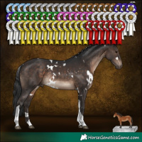 Horse Color:White Spotted Brown Tobiano Rabicano 