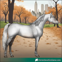 Horse Color:Gray Silver Brown Sabino