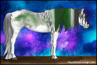 Horse Color:Blue Onyx Splash Tobiano 