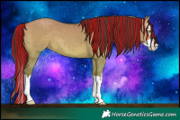 Horse Color:Painted Sable Champagne Dun Splash 