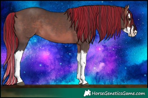Horse Color:Painted Brown Dun Splash 