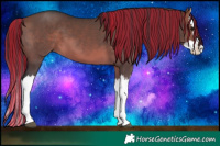 Horse Color:Painted Brown Dun Splash