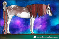 Horse Color:Painted Brown Dun Splash Tobiano 