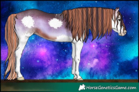 Horse Color:Painted Brown Onyx Splash 