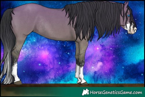 Horse Color:Grullo Sabino Splash Rabicano 