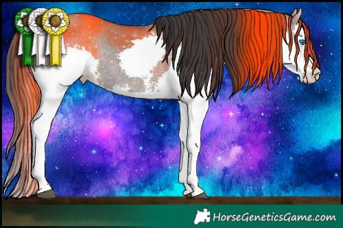 Horse Color:Grullo Sabino Splash Rabicano 