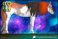 Horse Color:Grullo Sabino Splash Rabicano