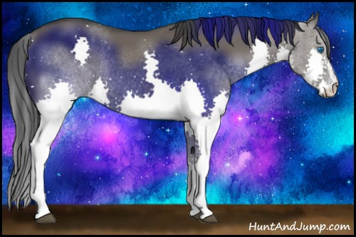 Horse Color:Grullo Sabino Splash Rabicano 