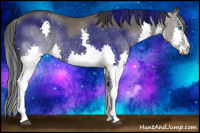 Horse Color:Grullo Sabino Splash Rabicano 