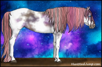 Horse Color:Painted Brown Dun Sabino Splash Tobiano Frame Rabicano 