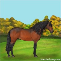 Horse Color:Brown 