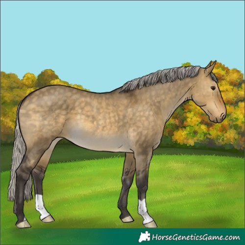 Horse Color:Silver Buckskin Dun 