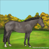 Horse Color:Smoky Grullo Rabicano
