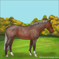 Horse Color:Silver Brown Roan 