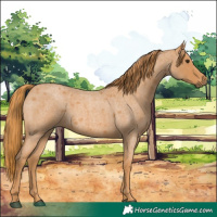 Horse Color:Red Roan 