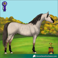 Horse Color:Void Amber Champagne Dun Rabicano