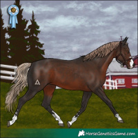 Horse Color:Liver Chestnut 