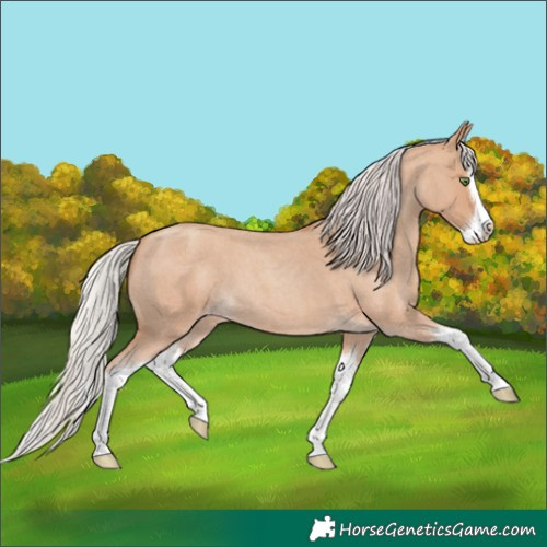 Horse Color:Silver Classic Champagne Roan Splash