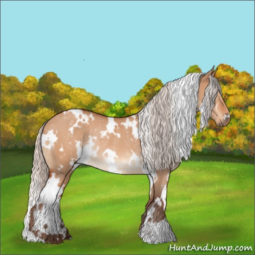Horse Color:White Spotted Silver Bay Dun Rabicano 