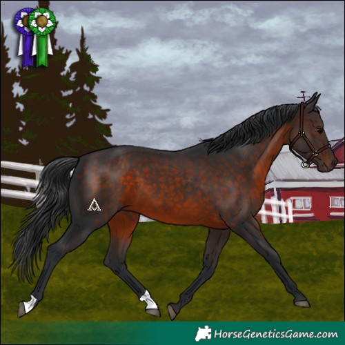Horse Color:Brown 