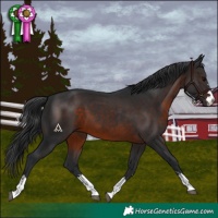 Horse Color:Brown 