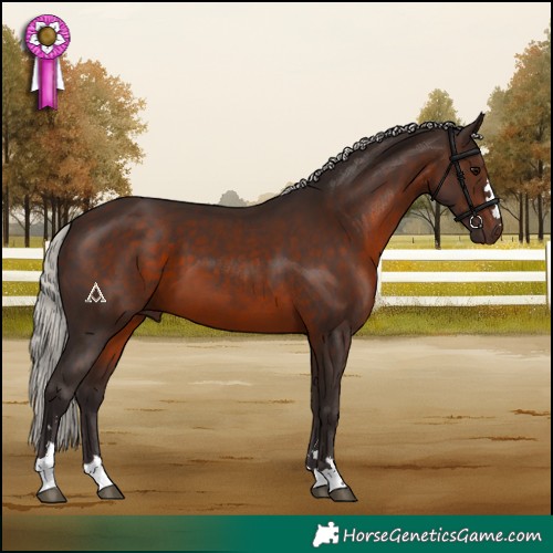 Horse Color:Silver Brown 