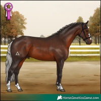 Horse Color:Silver Brown 
