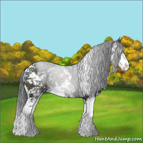 Horse Color:Black Sabino Rabicano 