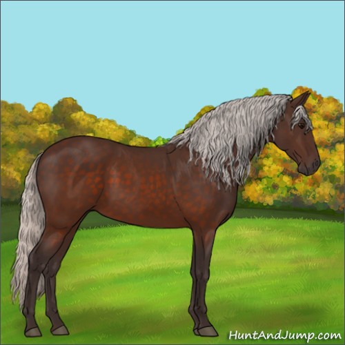 Horse Color:Silver Brown 