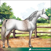 Horse Color:Gray Chestnut 