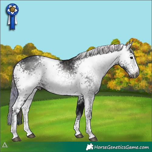 Horse Color:Gray Nacre White Spotted Midnight Black Ice 