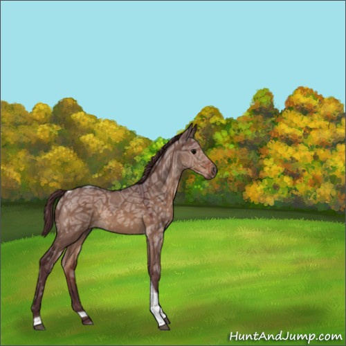Horse Color:Chocolate Brown Ice Dun Sabino Tobiano 