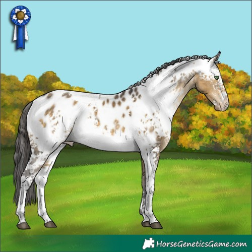 Horse Color:White Spotted Buckskin Dun Appaloosa Rabicano 