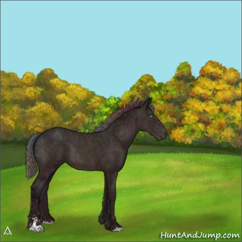 Horse Color:Nacre Midnight Sable Champagne Ice Sabino 