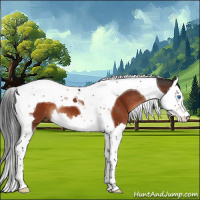 Horse Color:Brown Splash Tobiano 