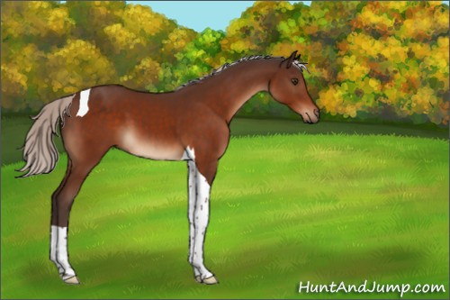 Horse Color:Silver Brown Tobiano 