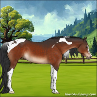 Horse Color:Brown Sabino Tobiano 