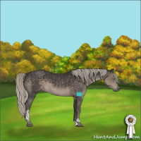 Horse Color:Silver Smoky Black Tobiano 