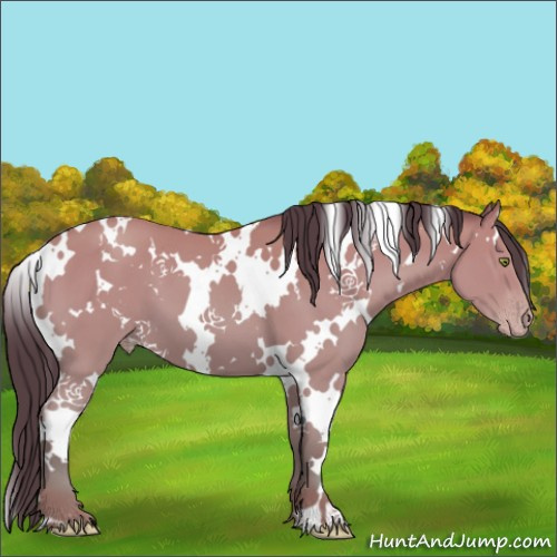Horse Color:White Spotted Amber Champagne 